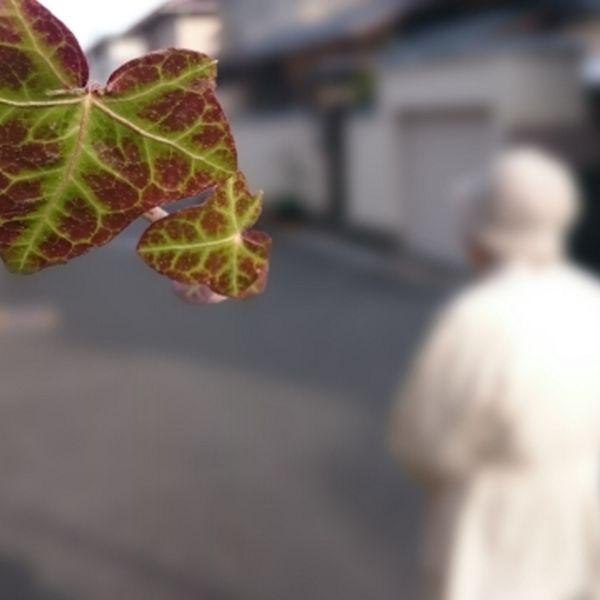 シークレットジャパン群馬は認知症の見守りも対応します